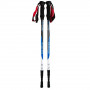 Палки треккинговые Trail Tramp TRR-002 синего цвета